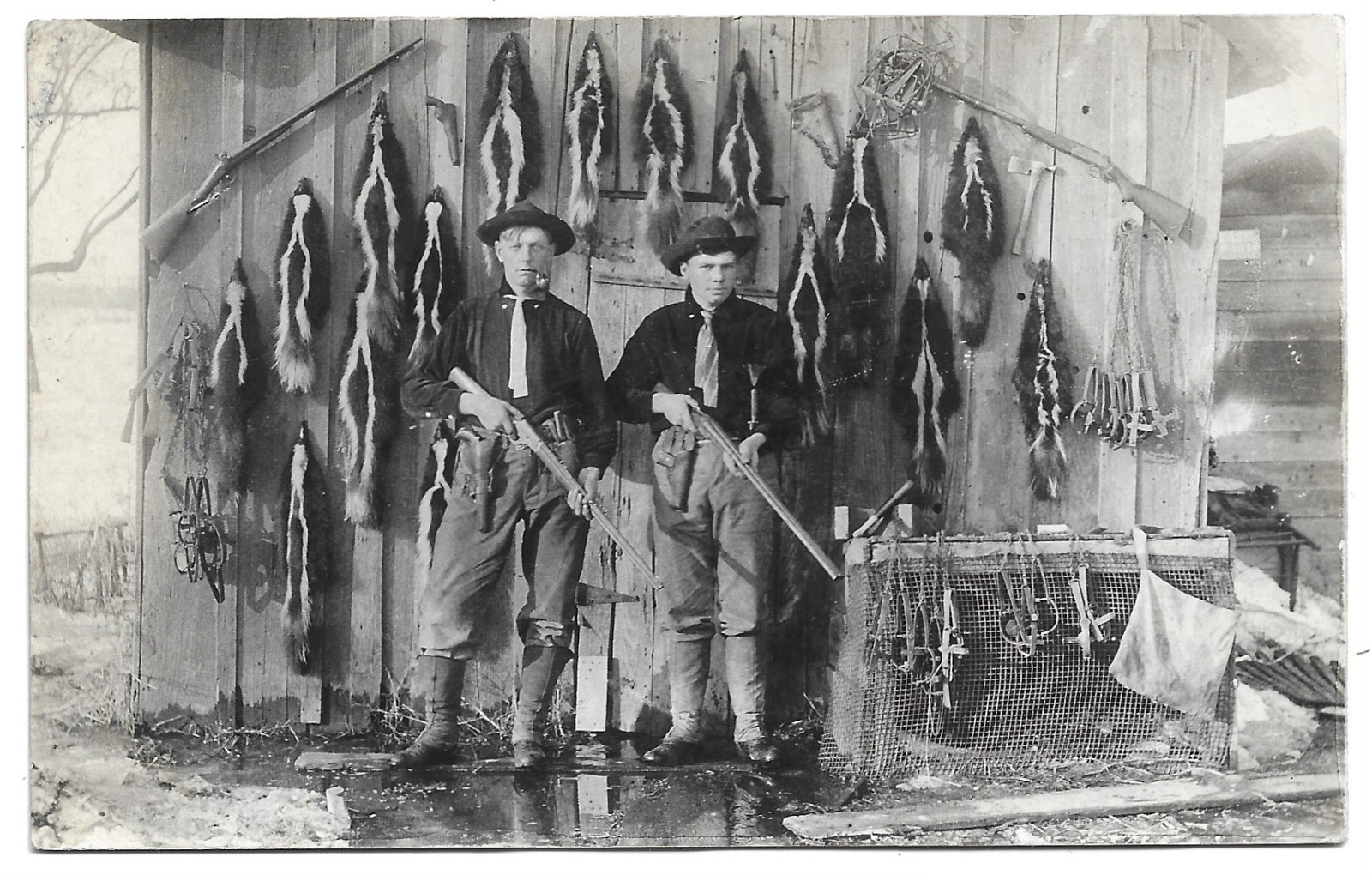 Hunting Skunks With Many Traps Real Photo Postcard