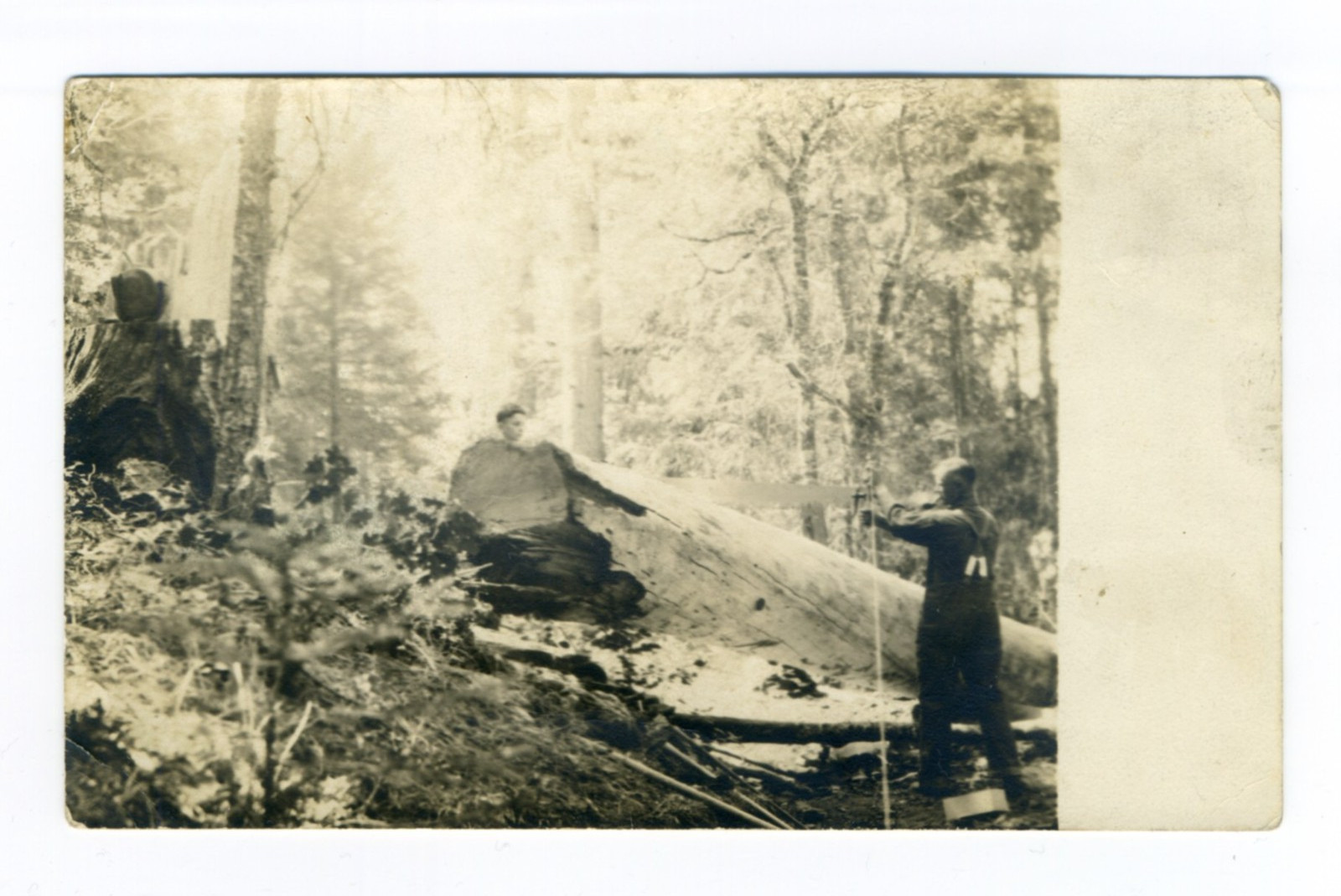 Trail Oregon Jackson County Self Portrait Sawing Tree Real Photo Postcard