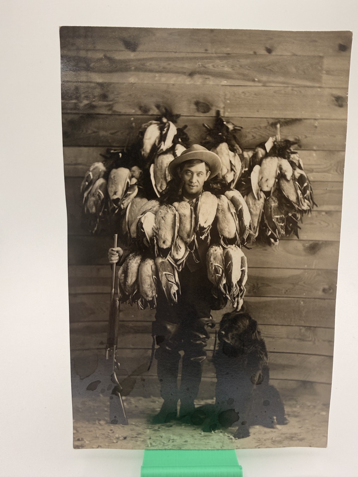 Hunters Waterfowl Hunting Studio Shoot Retriever Mallards Real Photo Postcard