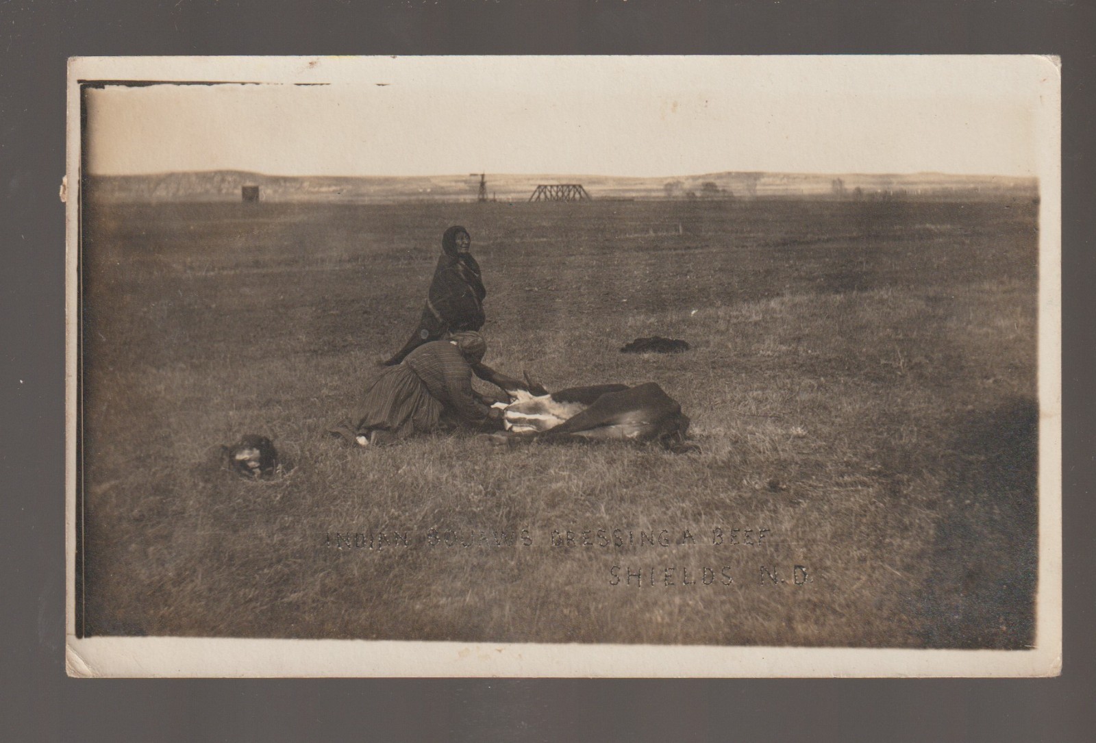 Leith North Dakota Sioux Indian Woman Butchering Cow 1912 Real Photo Postcard