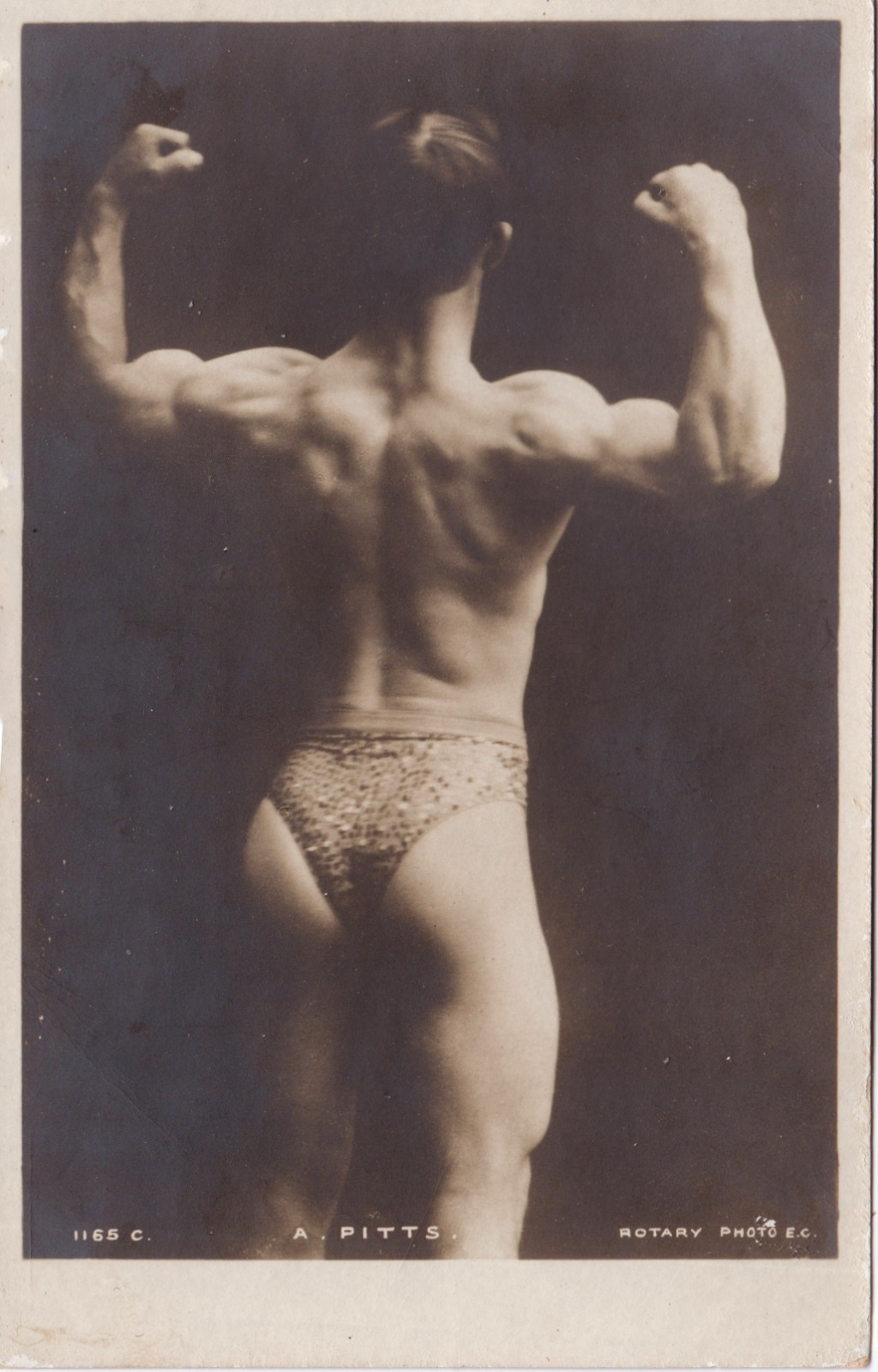 Physique Model In Spangled Briefs Rear View Gay Interest Real Photo Postcard