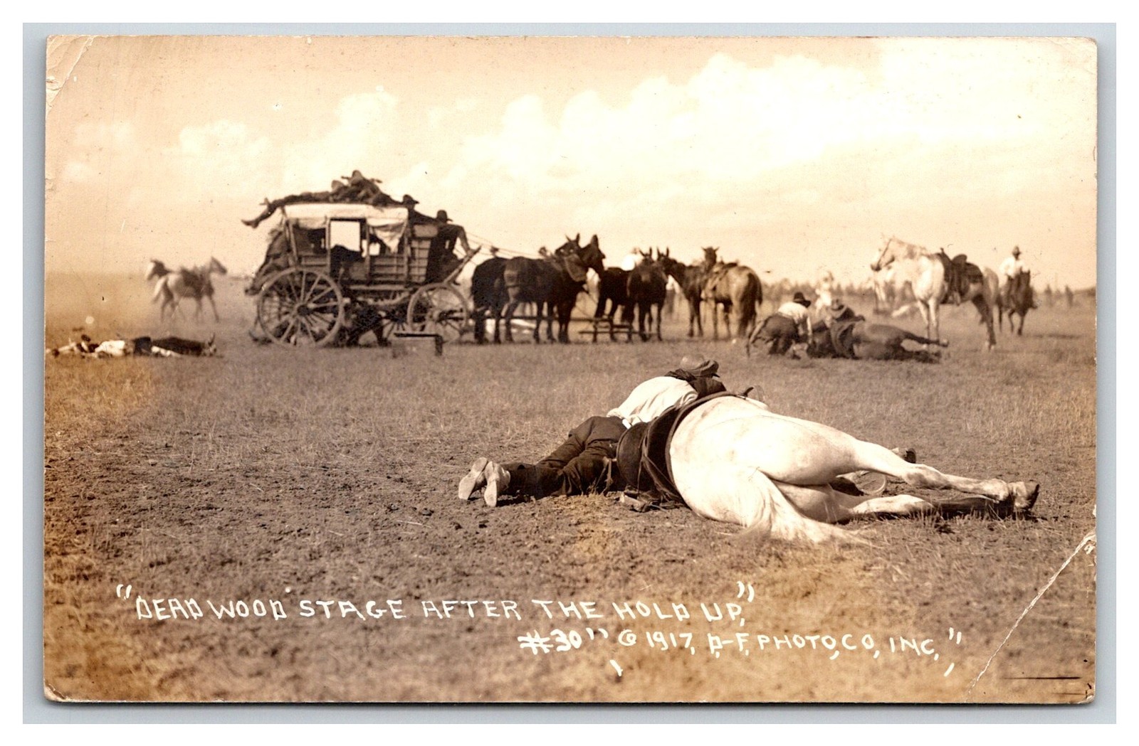 Deadwood South Dakota Stagecoach Mail Gold Hold Up Robbery with Dead Cowboy and Horse Real Photo Postcard