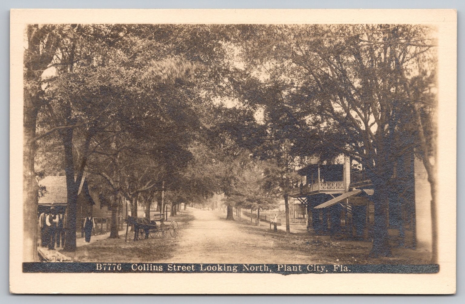 Plant City Florida Collins Street Real Photo Postcard