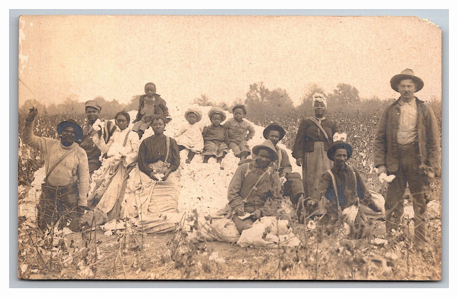 African American Share Crop Cotton Platation Workers Portrait Real Photo Postcard