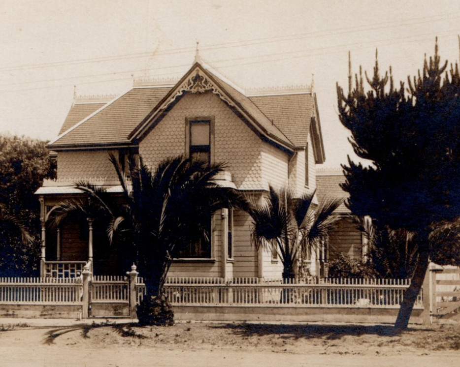 USA White Picket Fence Residence Palm Trees Electrical Lines Real Photo Postcard