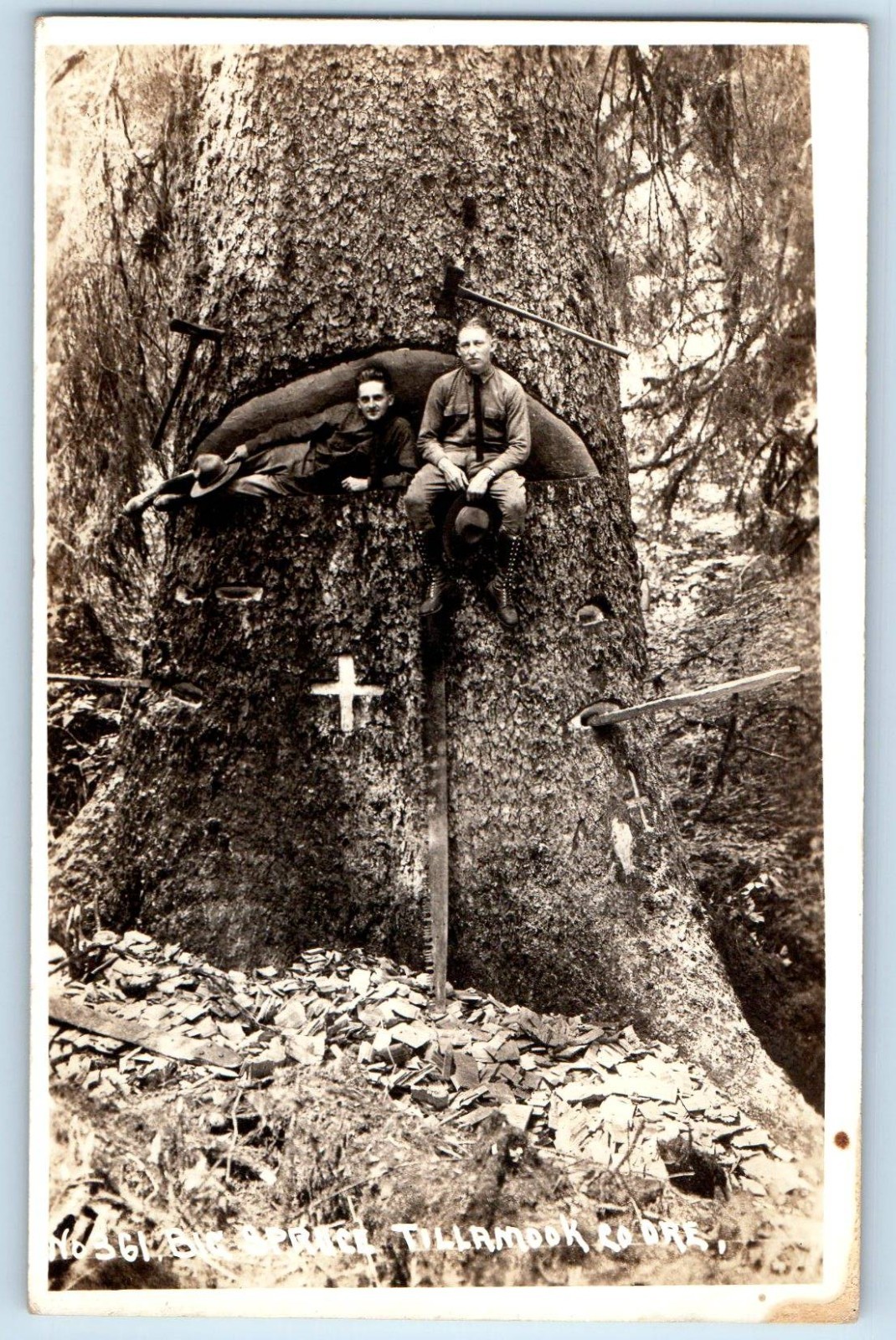 Tillamook Oregon Soldiers Rangers Big Spruce Logging Real Photo Postcard