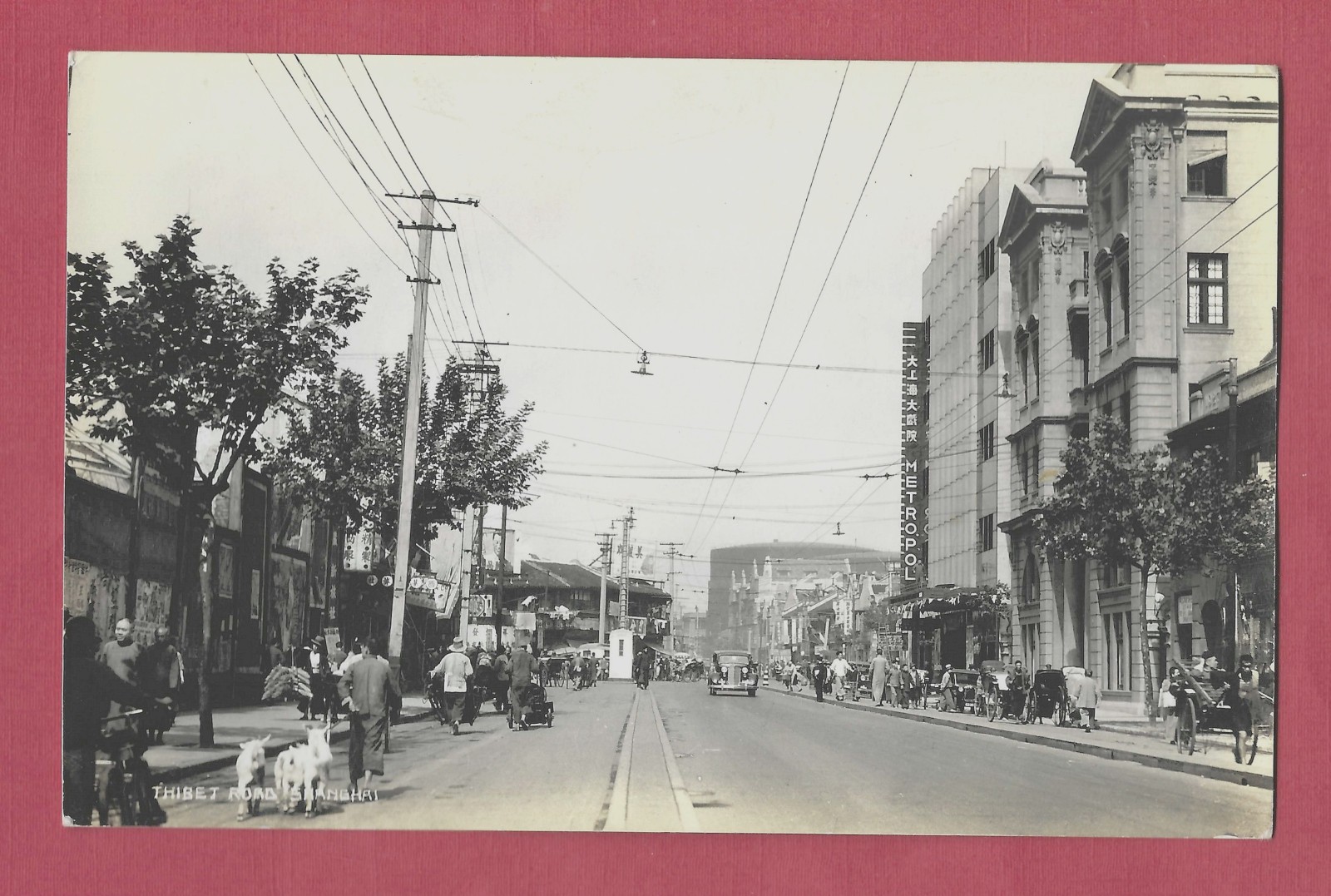 Shanghai China Thibet Road People Cars 4 Goats Metropol Building Real Photo Postcard
