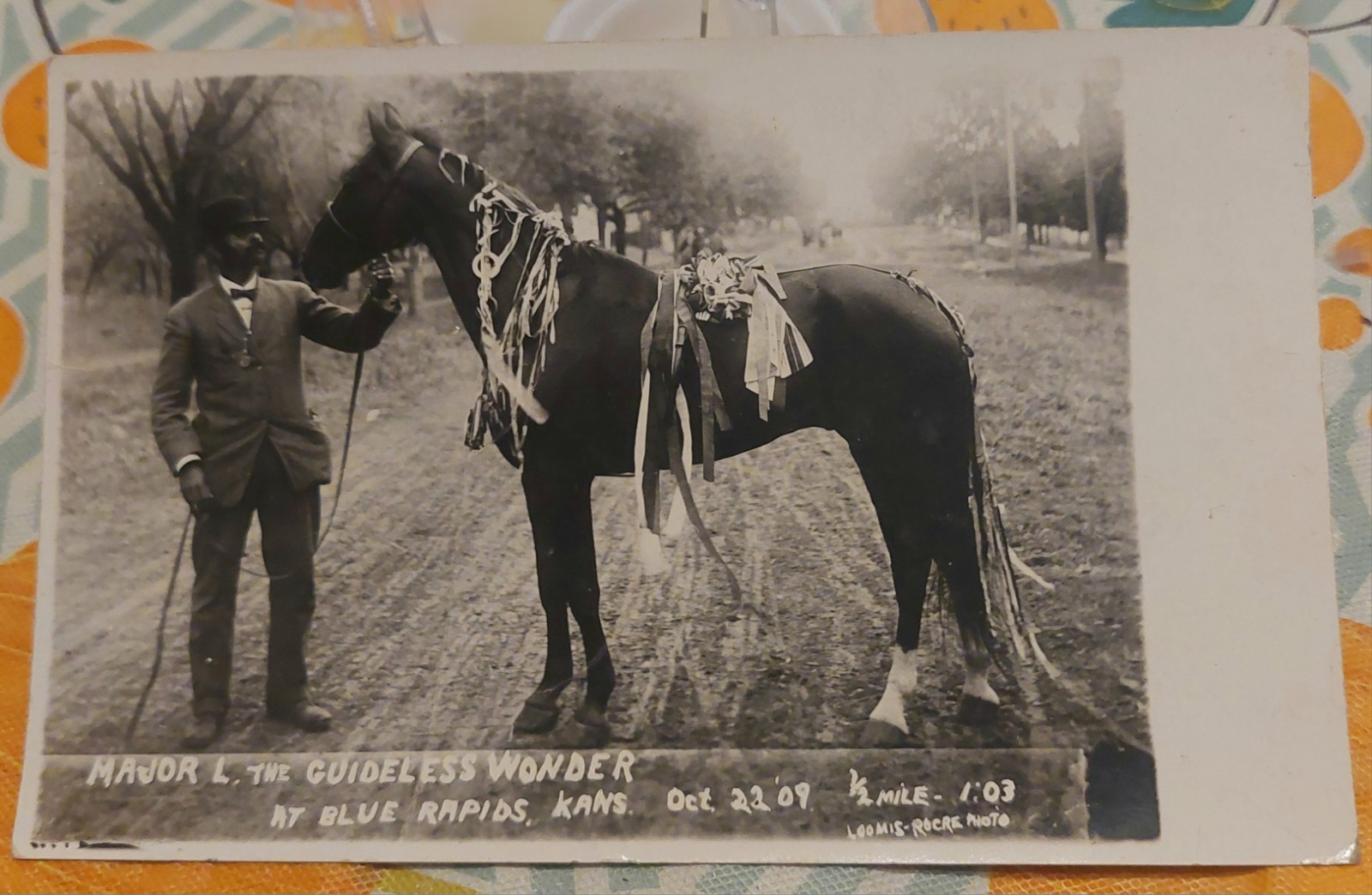 Blue Rapids Kansas Major L Guideless Wonder Horse 1914 Real Photo Postcard
