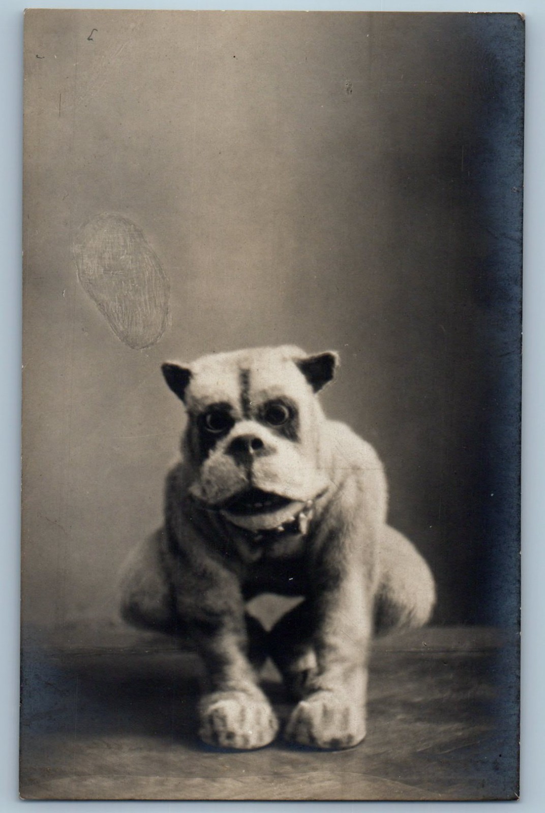 Bonzo Dog Vaudeville Costume 1910 Real Photo Postcard