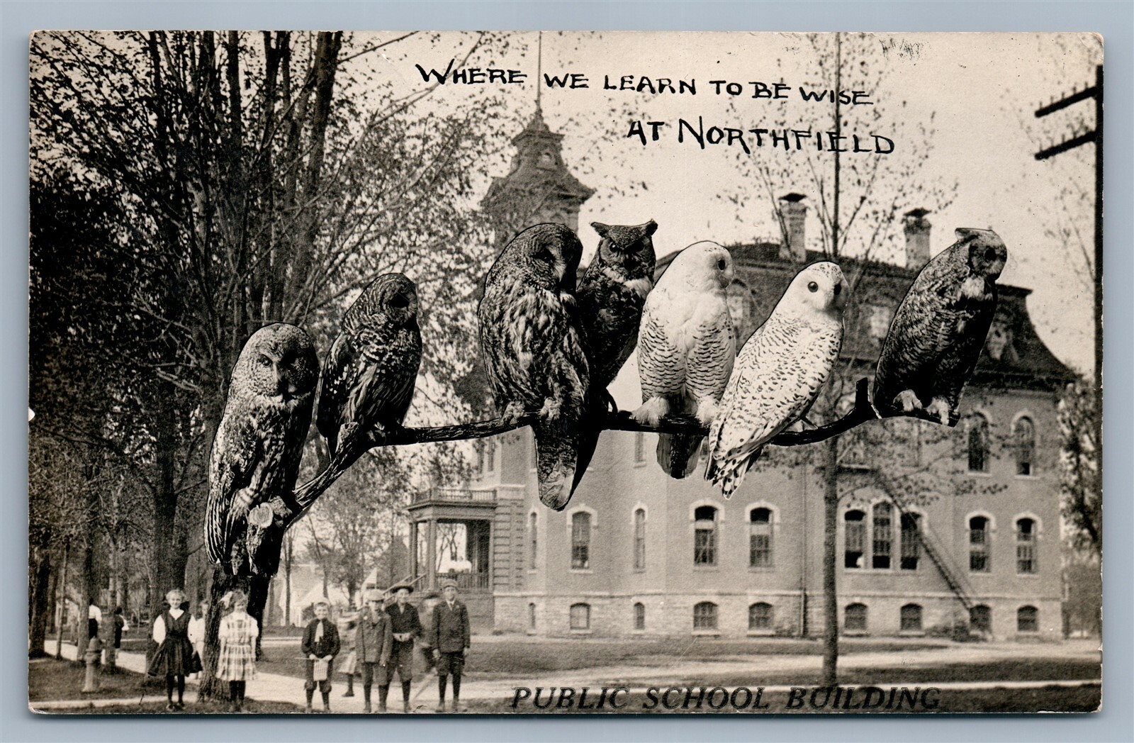 Northfield Minnesota School with Owls Montage Collage Real Photo Postcard