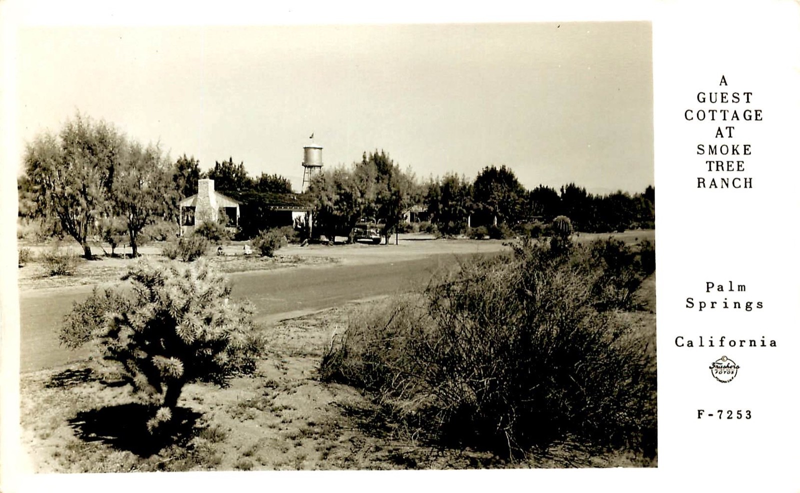 Smoke Tree Ranch Palm Springs California Real Photo Postcard