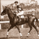 Phar Lap the wonder 3 year old. Melbourne. Vic. Victoria. Horse Racing. Jockey