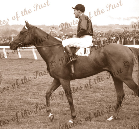 'RUSSIA' winner of Melbourne Cup, Vic. Jockey, D.Monroe. Horse racing. Flemington. Victoria.1946