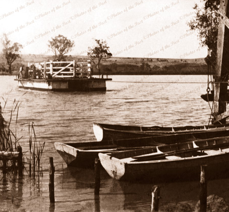 Mannum ferry, SA. Murray River. South Australia. c1917