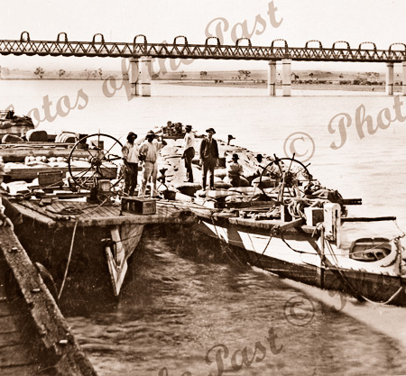 Barges at Murray Bridge, SA. South Australia. c1900