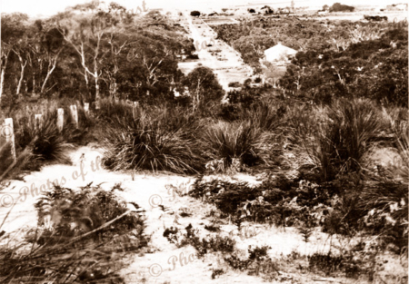 View down Crozier Road from Sandhill Road, Victor Harbor, SA c1900. South Australia