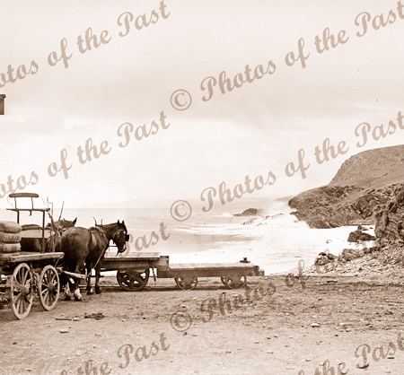 Horse dray at goods shed, Second Valley foreshore Bale of wheat sacks. South Australia. 1910