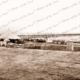 View to jetty at Semaphore foreshore, SA. 14 November 1898. South Australia. Beach