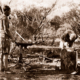 Blacksmith, Australian goldfields 1935