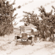 Loading boxes of peaches onto buckboard utility in an orchard. c1930s. Car