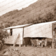 Shack at Eastern View, Victoria. Great Ocean Road. c1920s