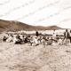 Mixed group on beach at Spout Creek, Eastern View, Vic. Aireys Inlet beyond. Great Ocean Road. c1920s