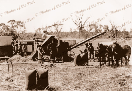 Horse treadmill winnower. c1906