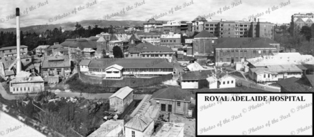 Panoramic view over Adelaide Hospital from top of Medical School. c1963.