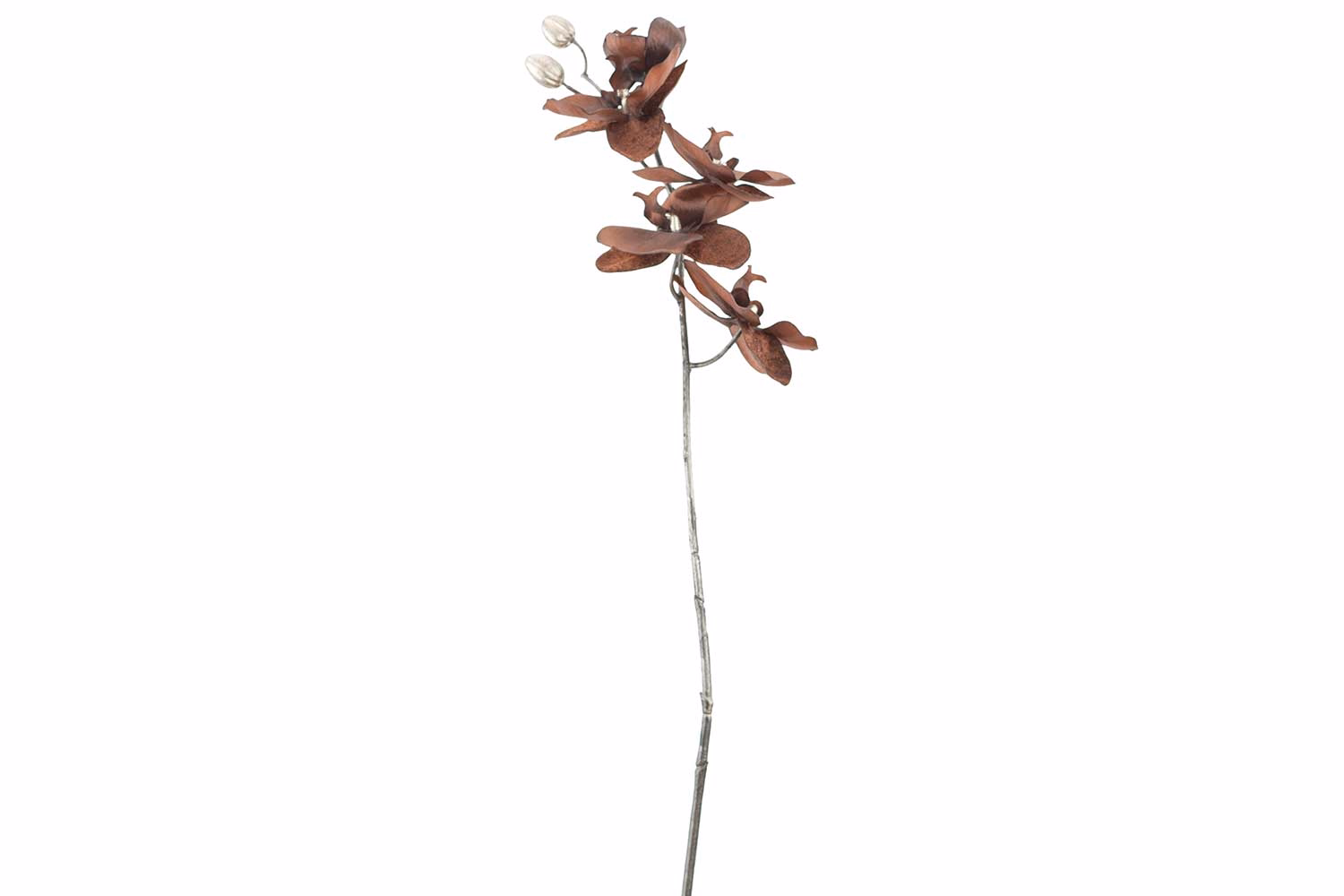 Tak Phalaenopsis Bruin 12X7Xh66Cm Kunsts Tof