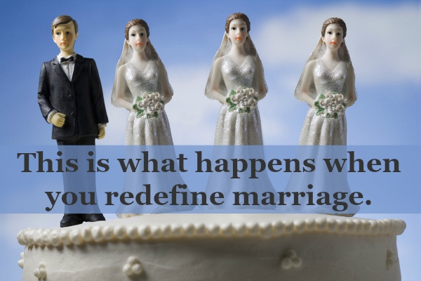 Polygamy predicted