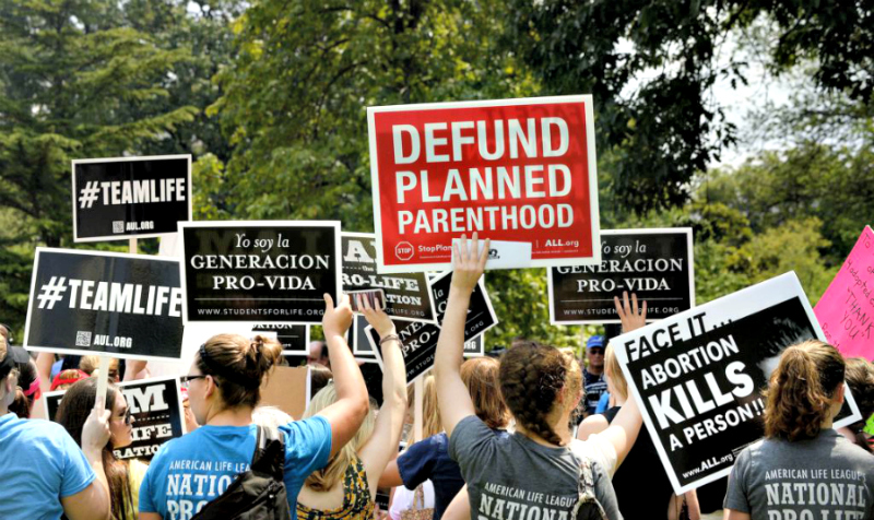 Pro life large