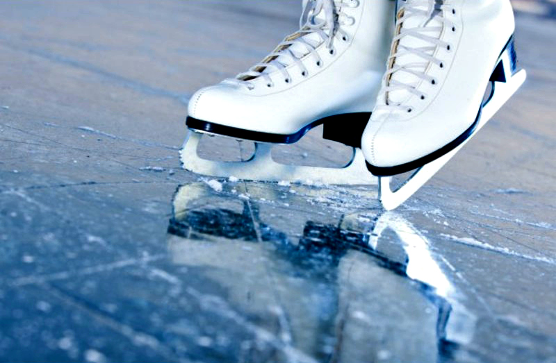 Skating shoes