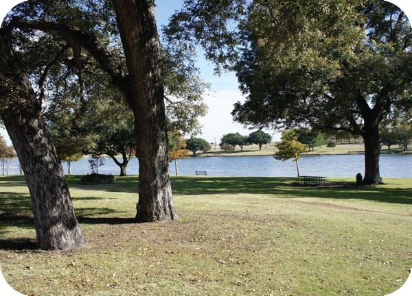 Bachman lake park