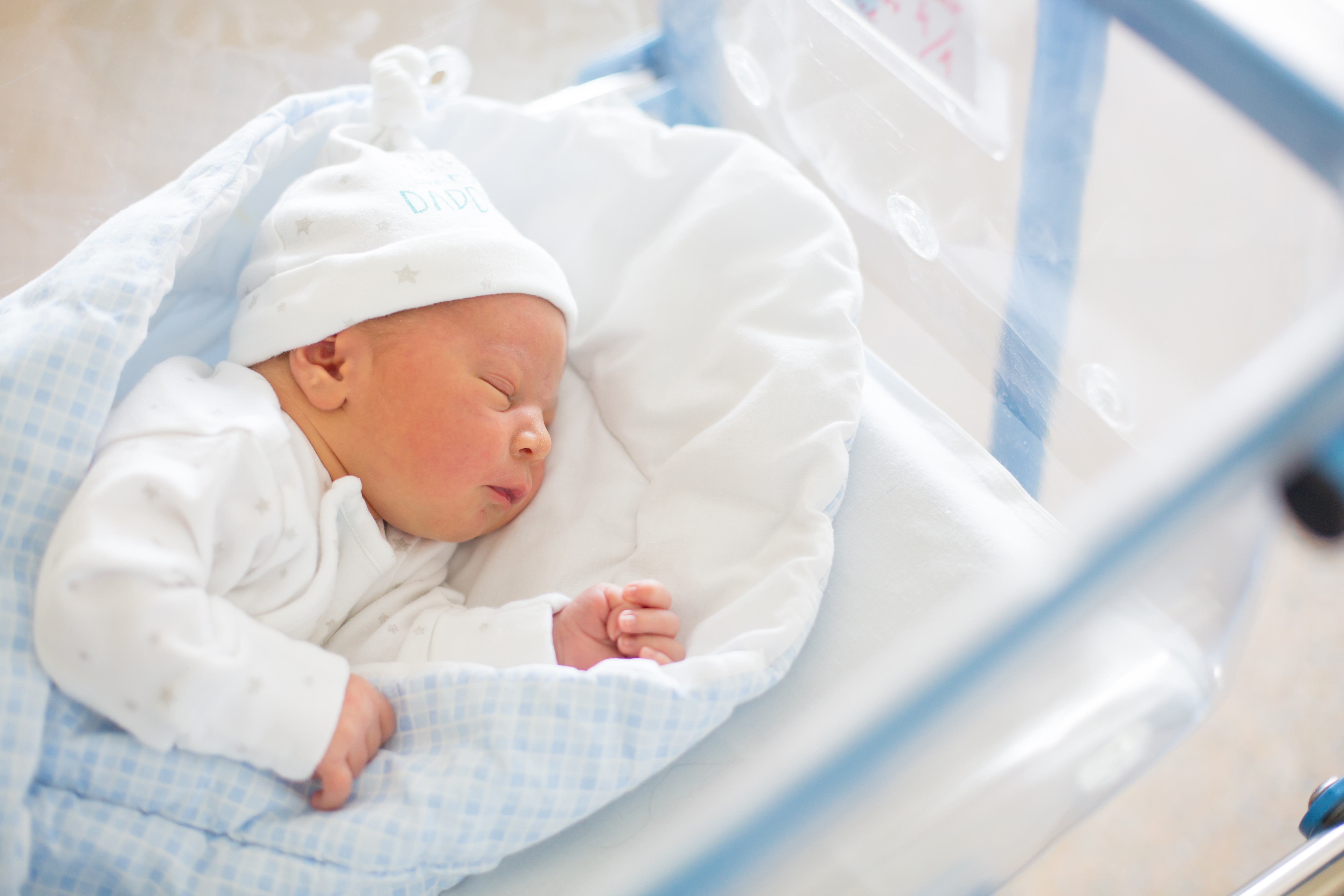 Newborn