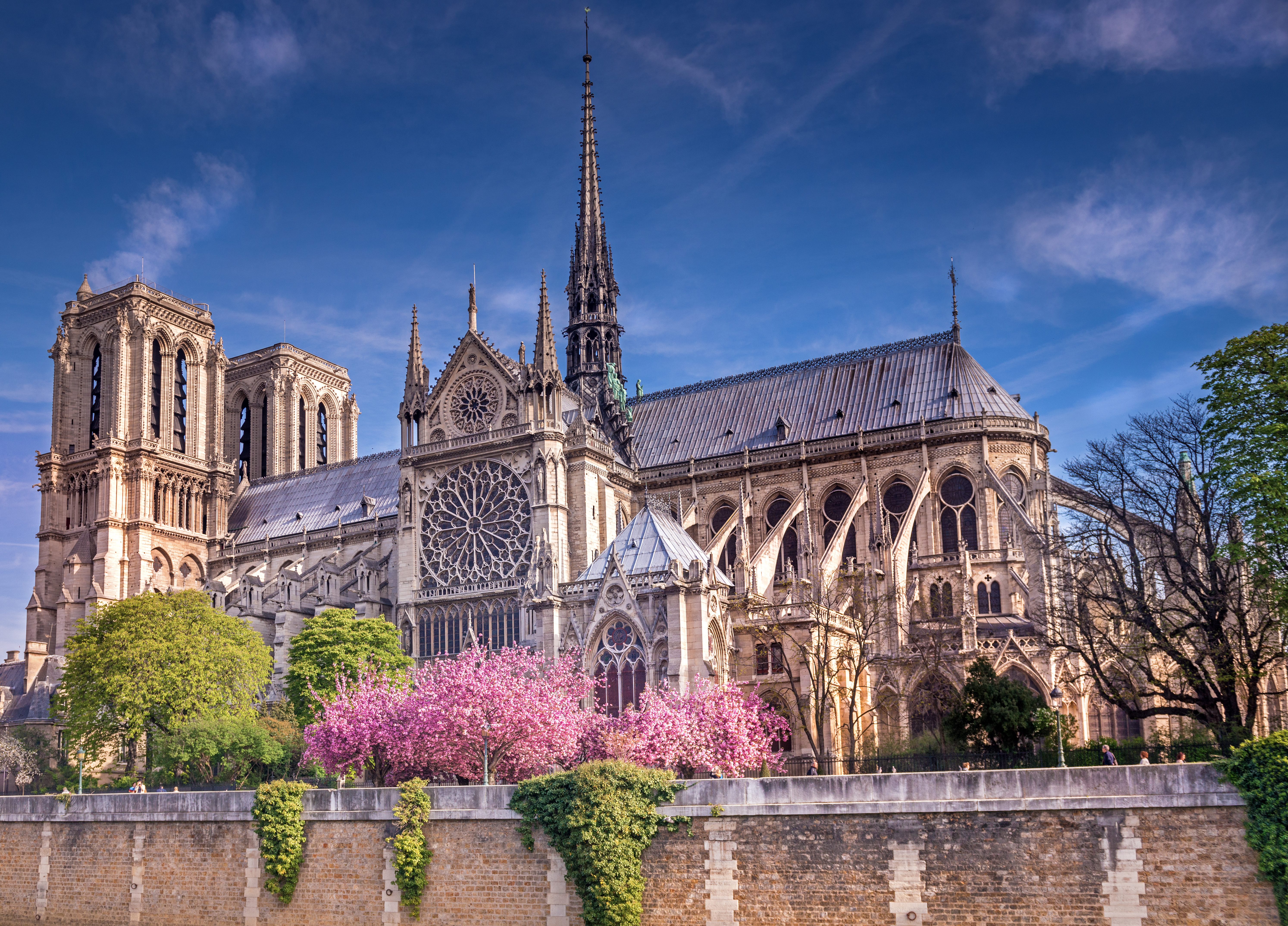 Notre dame in spring
