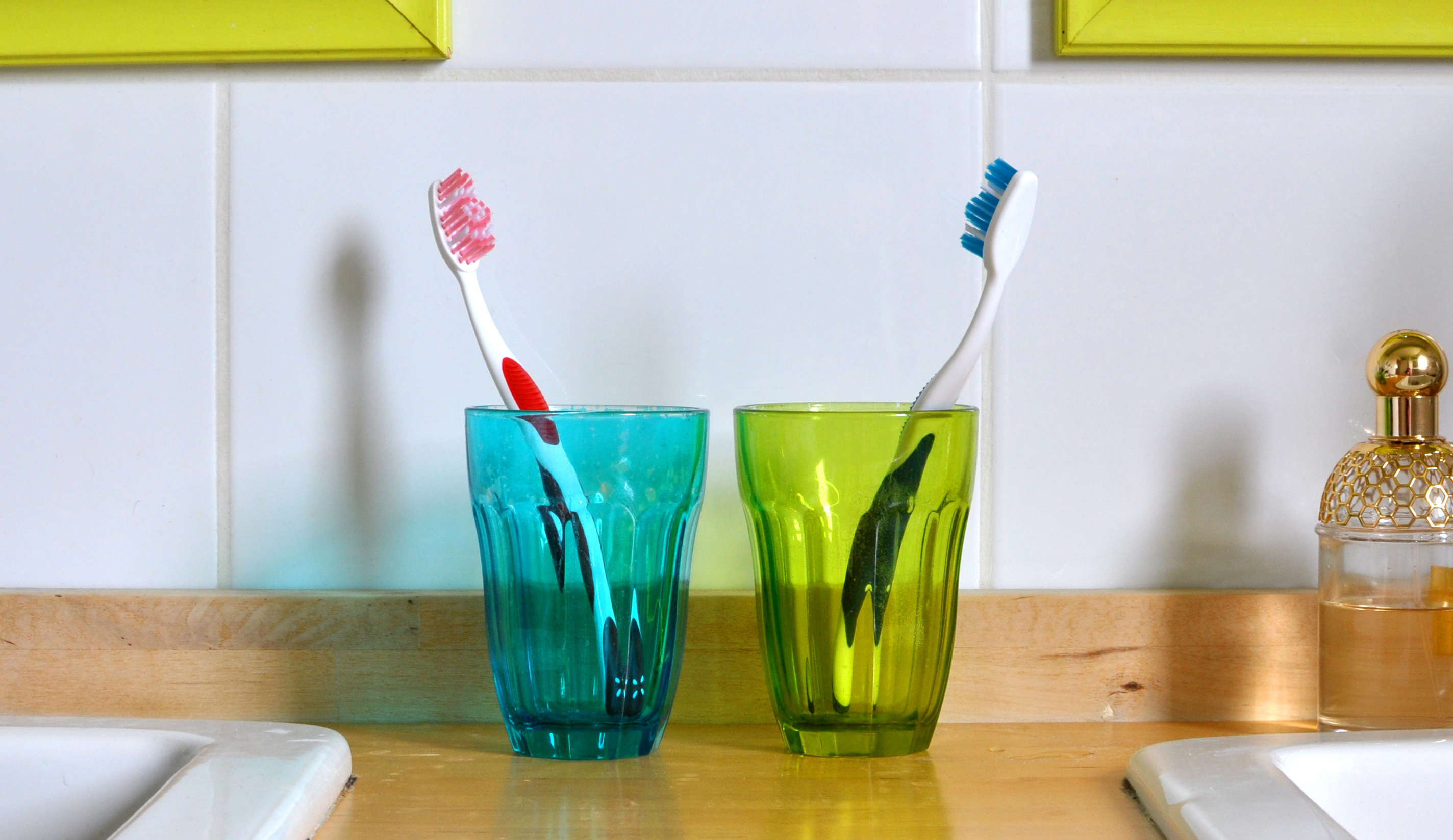 Cohabitation toothbrushes