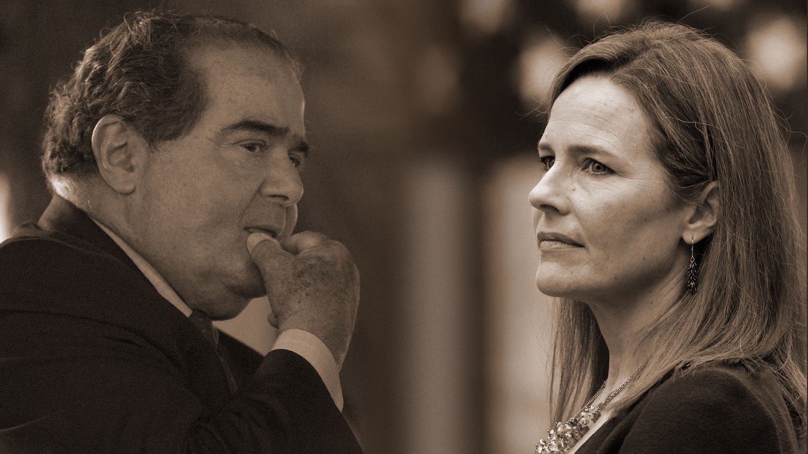 Scalia barret sepia