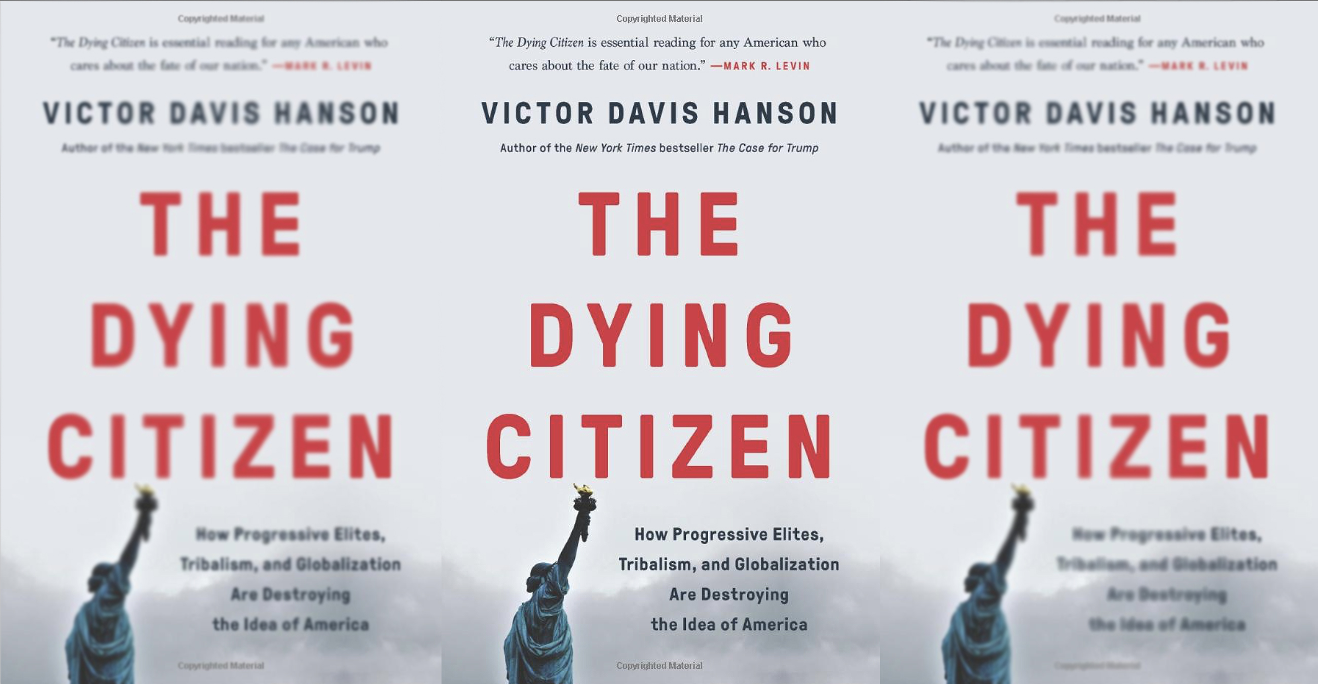The dying citizen book covers