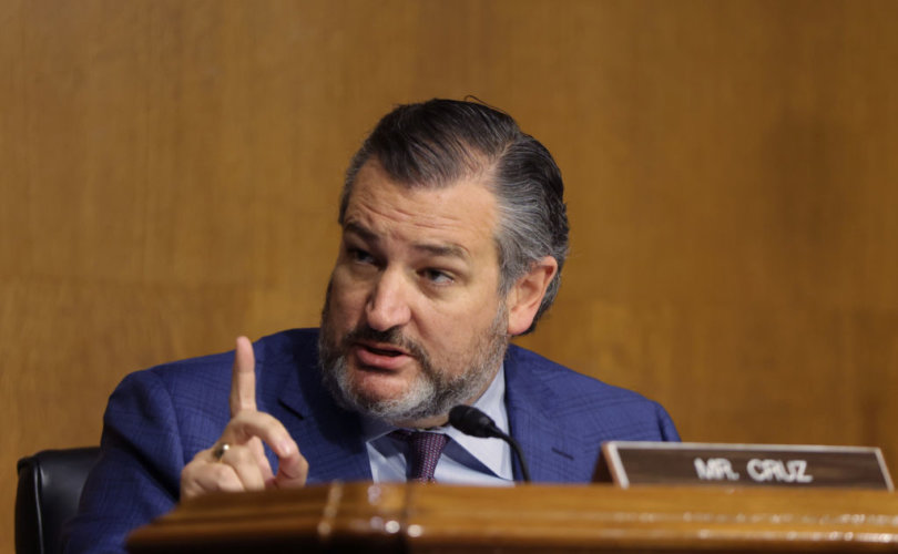 Sen ted cruz questions points finger