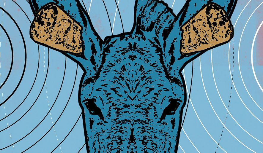 Deaf donkey ears plugged