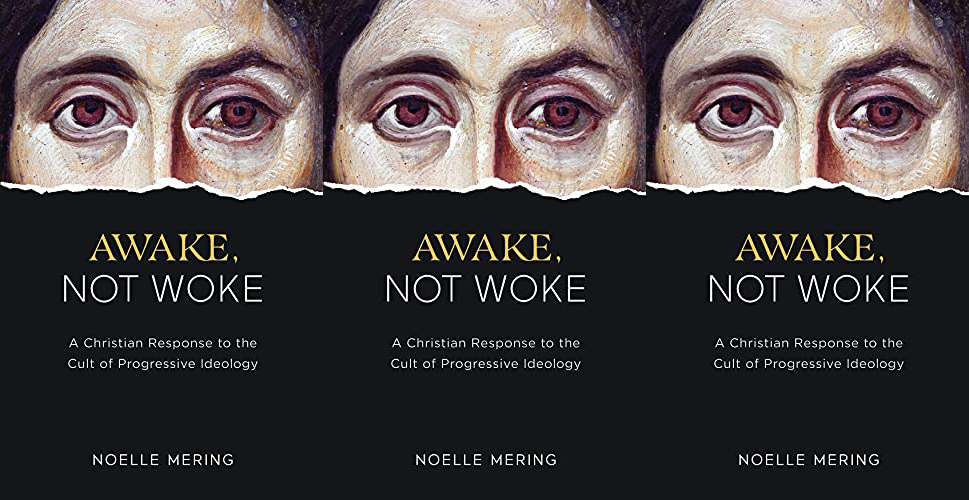 Awake not woke banner