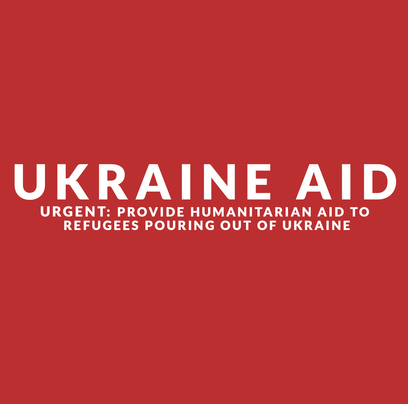 Ukraine banner large