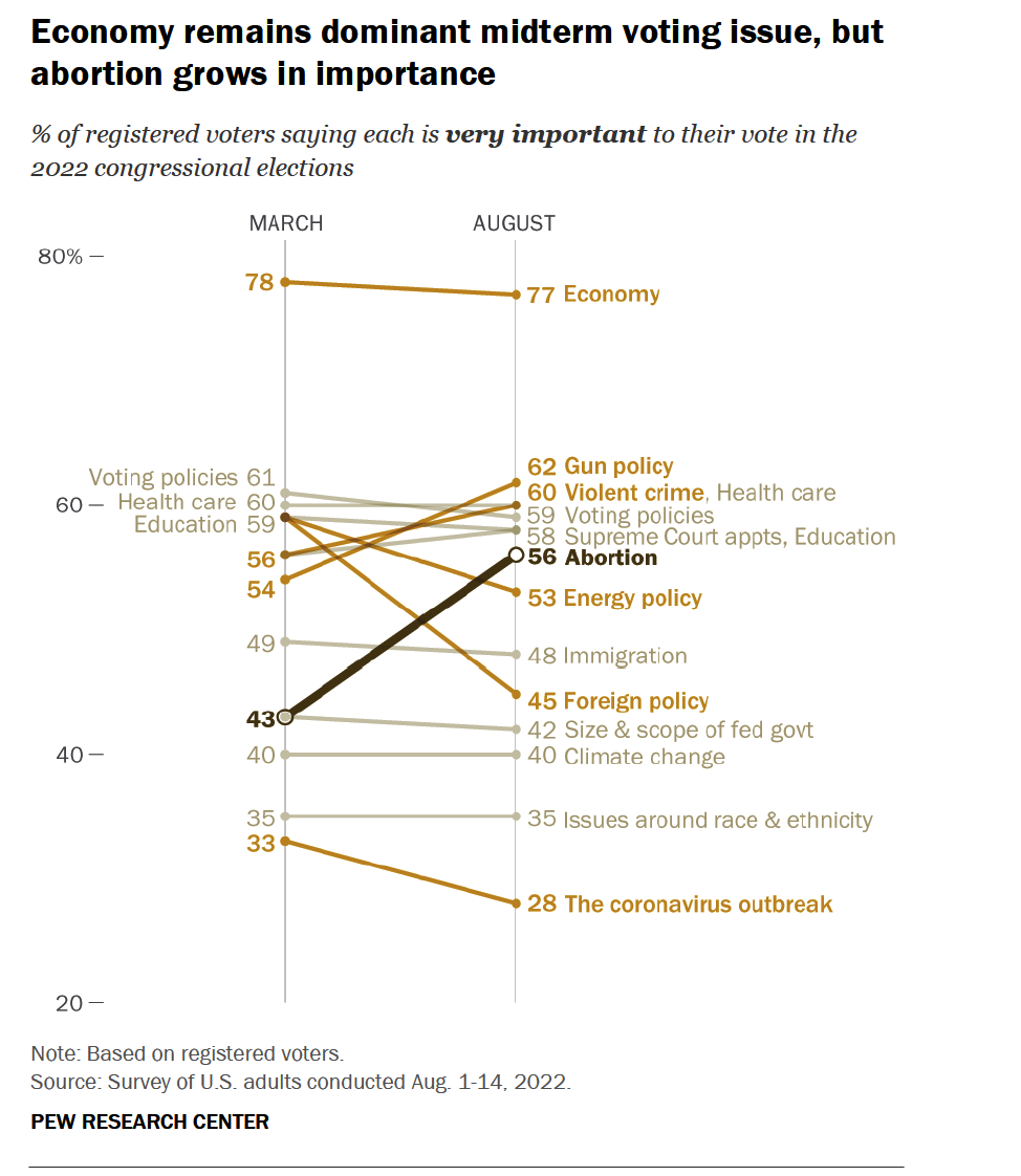 Midterm voting issues pew research
