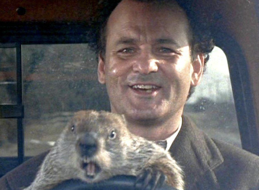 Bill murray groundhog day