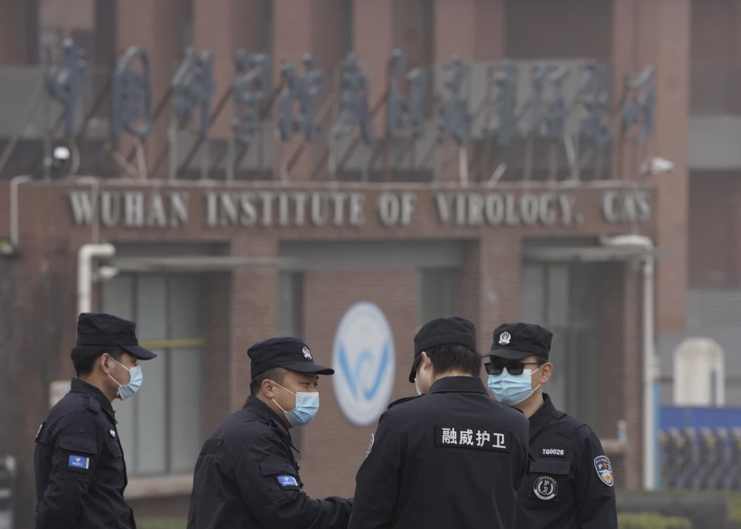 Wuhan institute lab