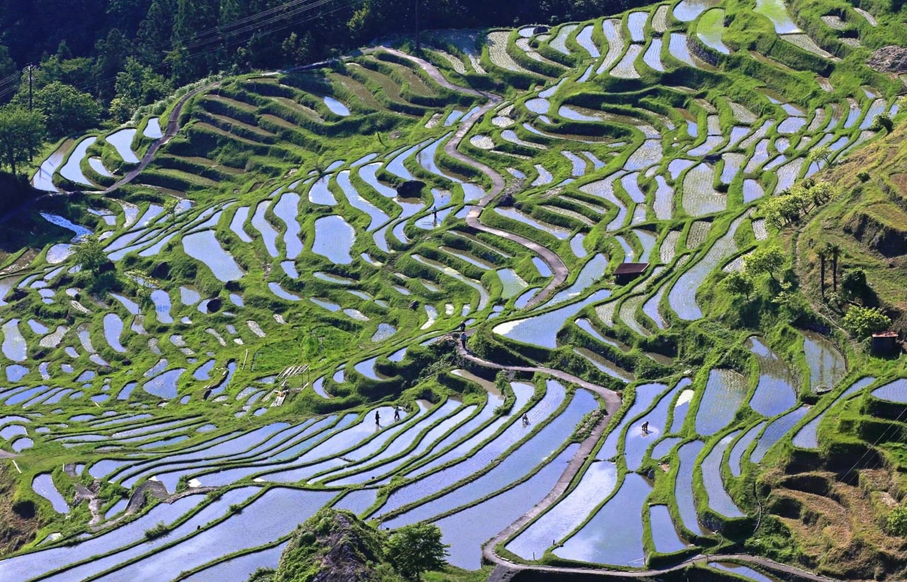 Climate Activists’ New Food Target