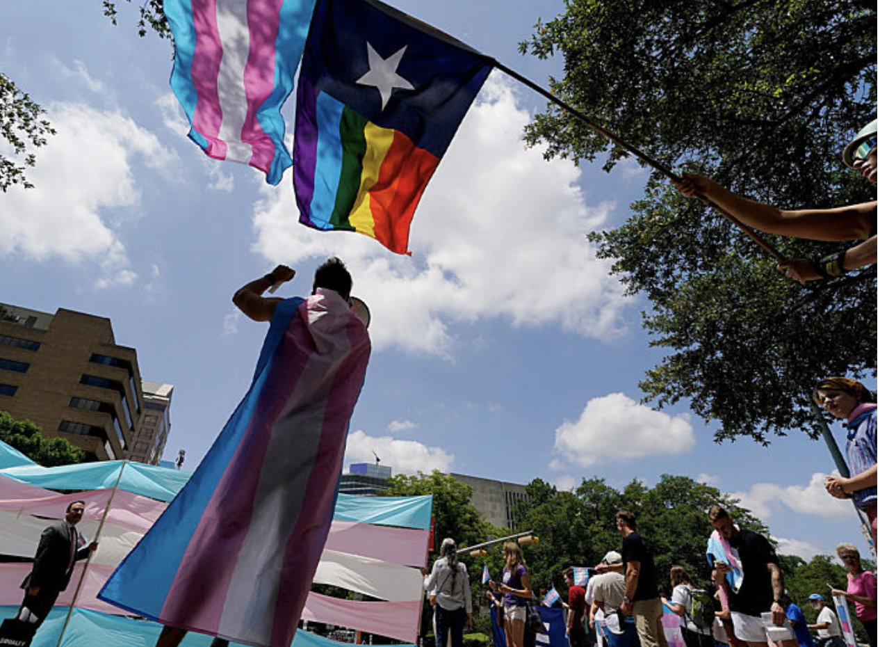 Trans gay protests flags