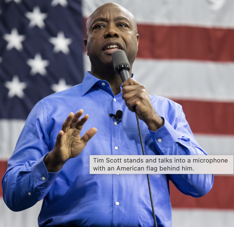 Tim scott with us flag campaigns