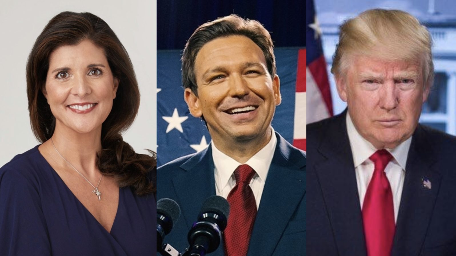 Haley desantis trump