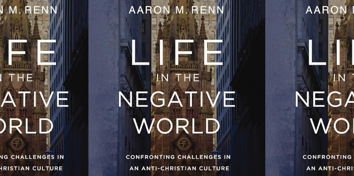 Life in the negative world viewpoints